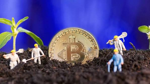 Yield Farming Platform