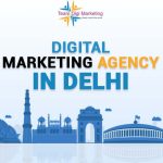 Team Digi Marketing - Best Digital Marketing Agency in Delhi